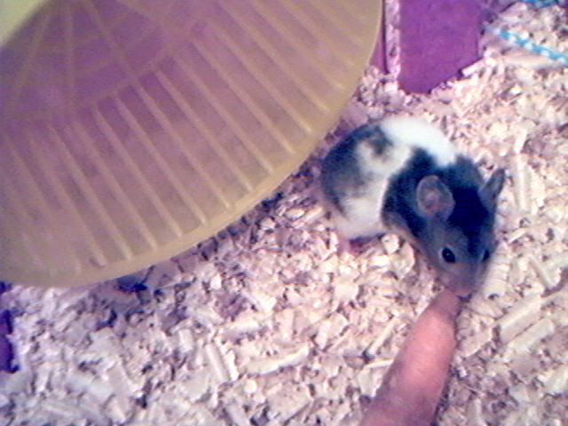 Mmmmmm.... carroty.....