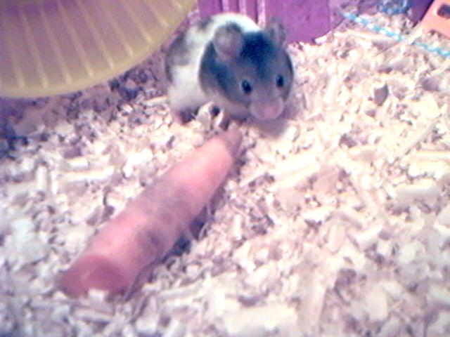 WTF? Dude, that thing is BIG!