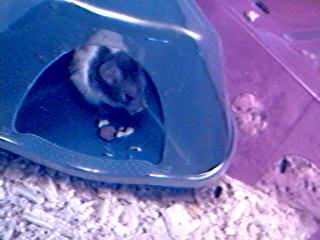 Let's get this place into shape.