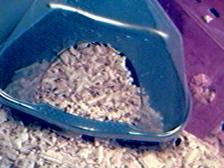 Aaaaah, a home fit for a Hamster King