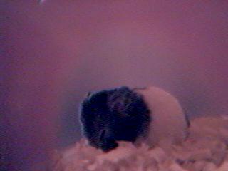 Oh man, I'm knackered