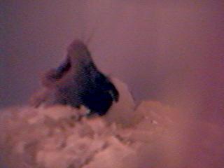 YAAAAAAAAAAWWWWWWWWWWWWWWWWN!