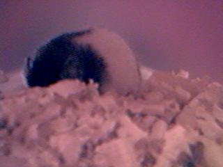 Zzzzzzzzzzzzzzz.......