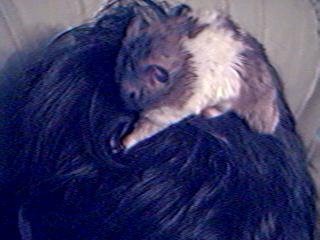 Oops I mean Ray's head