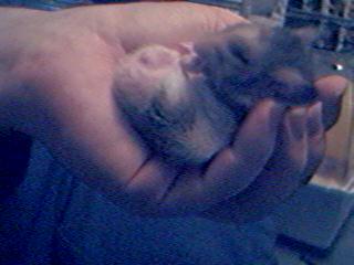 YAAAAAAAAAAWWWWWWWWWWWWWWWWN!