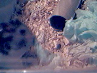 Have I got a cold or am I sticking paper in my pouches?