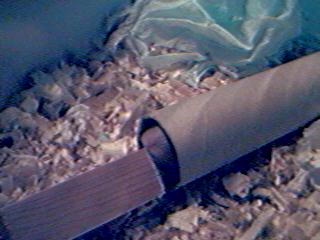 Who put this in here?