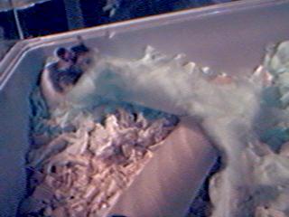 Builing continues...