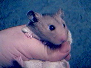 Hehehe I'm safe, just tunneling