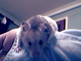 Struggling to get there