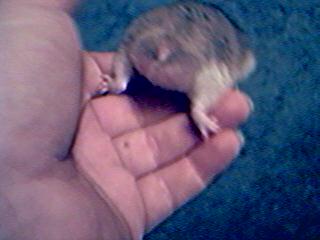 Ooooh lookie down here