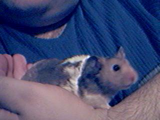 I wanna do something else